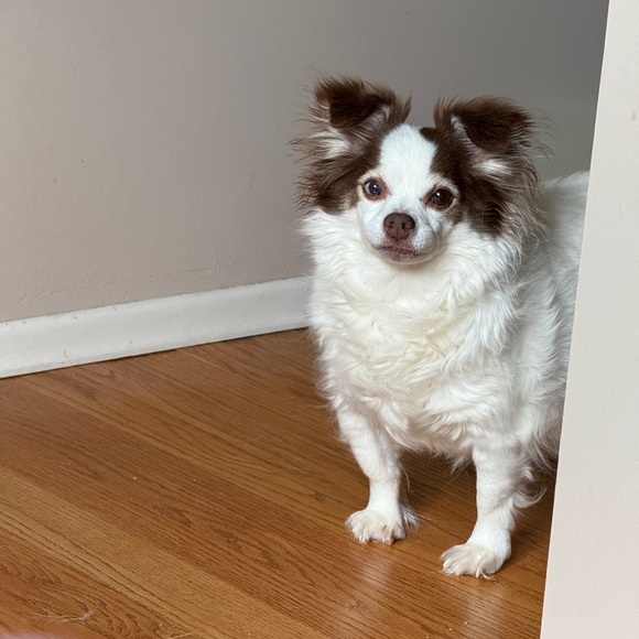 Meet your Posher, Kari - Picture 4 of 5